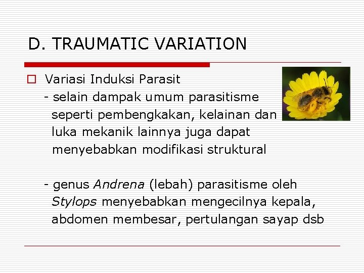 D. TRAUMATIC VARIATION o Variasi Induksi Parasit - selain dampak umum parasitisme seperti pembengkakan,