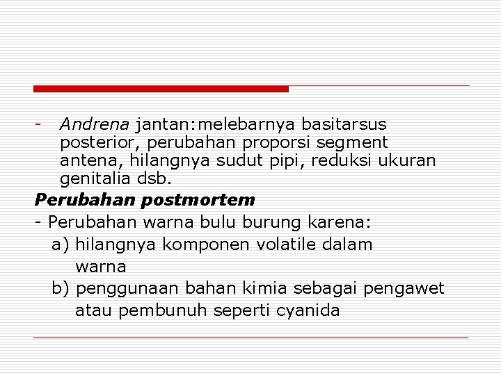 - Andrena jantan: melebarnya basitarsus posterior, perubahan proporsi segment antena, hilangnya sudut pipi, reduksi