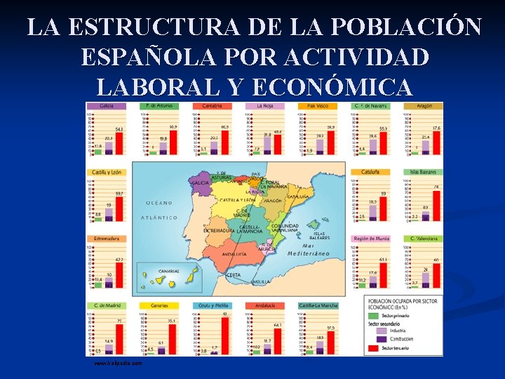 LA ESTRUCTURA DE LA POBLACIÓN ESPAÑOLA POR ACTIVIDAD LABORAL Y ECONÓMICA www. kalipedia. com