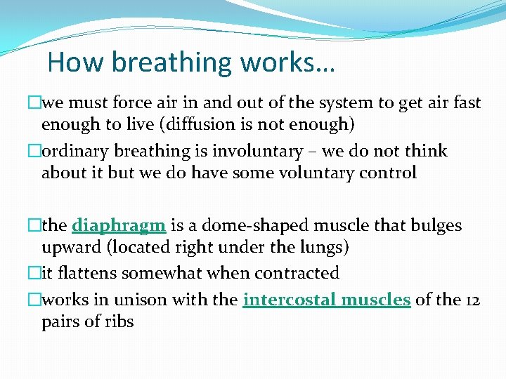 How breathing works… �we must force air in and out of the system to