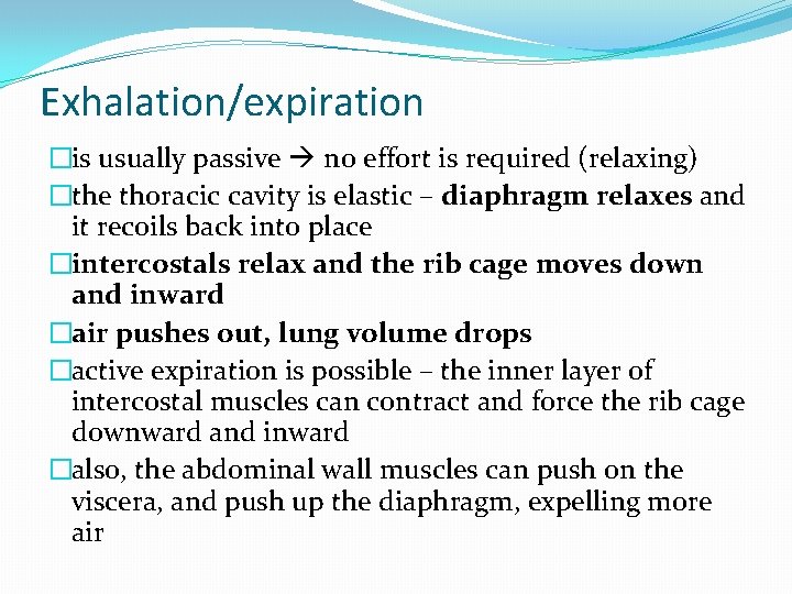 Exhalation/expiration �is usually passive no effort is required (relaxing) �the thoracic cavity is elastic