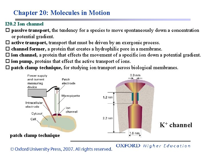 Chapter 20: Molecules in Motion I 20. 2 Ion channel passive transport, the tendency