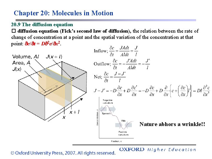 Chapter 20: Molecules in Motion 20. 9 The diffusion equation (Fick’s second law of