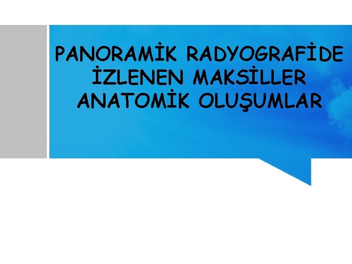 PANORAMİK RADYOGRAFİDE İZLENEN MAKSİLLER ANATOMİK OLUŞUMLAR 