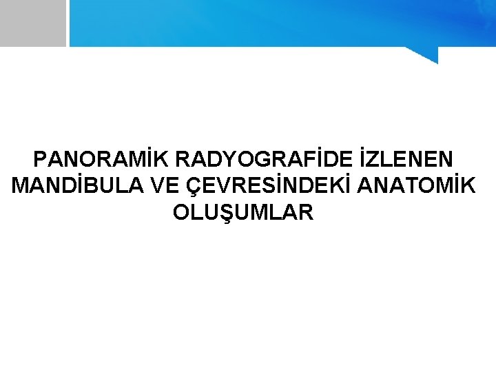 PANORAMİK RADYOGRAFİDE İZLENEN MANDİBULA VE ÇEVRESİNDEKİ ANATOMİK OLUŞUMLAR 