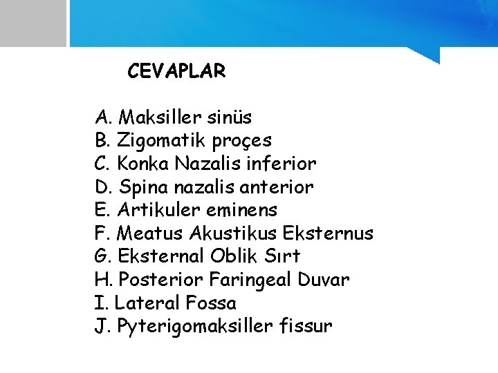 CEVAPLAR A. Maksiller sinüs B. Zigomatik proçes C. Konka Nazalis inferior D. Spina nazalis