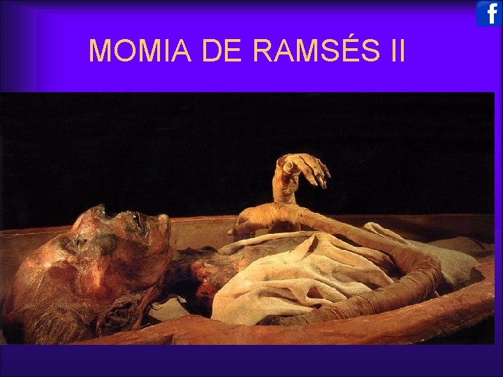 MOMIA DE RAMSÉS II 