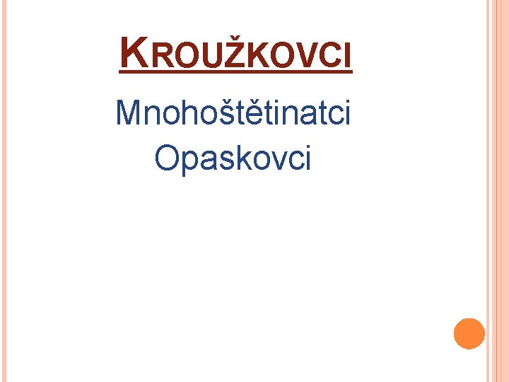 KROUŽKOVCI Mnohoštětinatci Opaskovci 