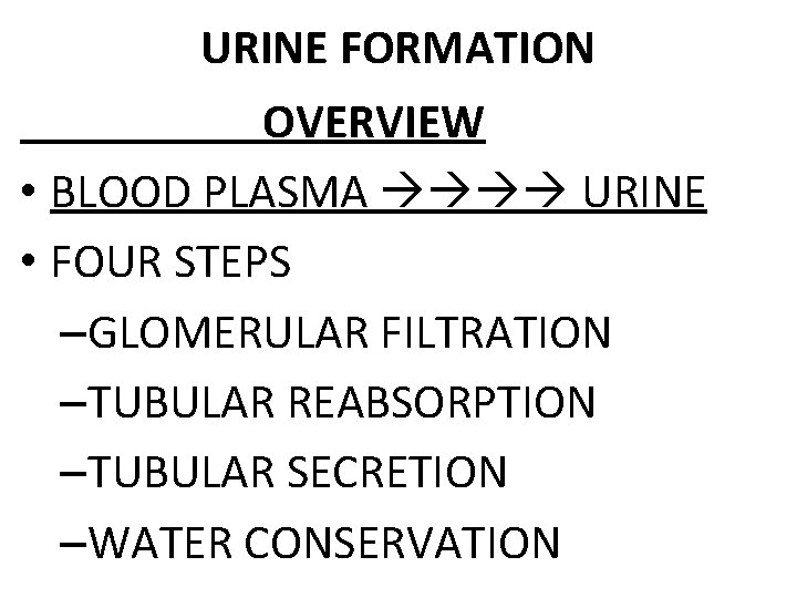 URINE FORMATION OVERVIEW • BLOOD PLASMA URINE • FOUR STEPS –GLOMERULAR FILTRATION –TUBULAR REABSORPTION
