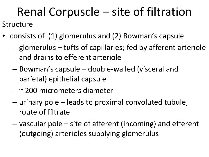 Renal Corpuscle – site of filtration Structure • consists of (1) glomerulus and (2)