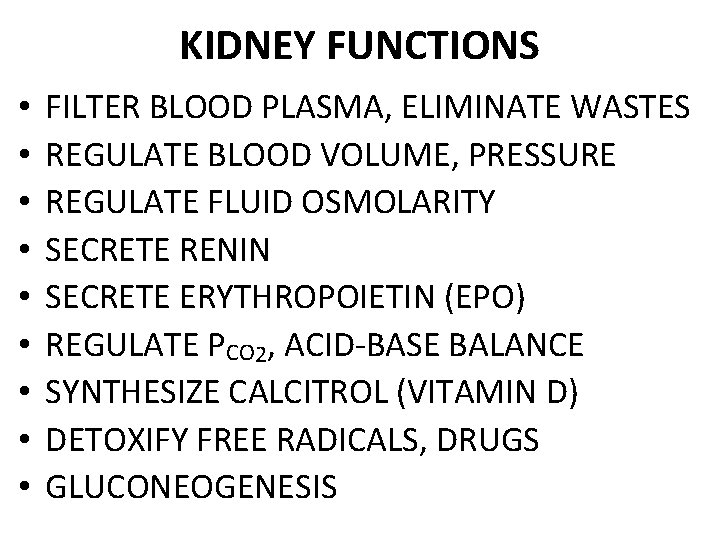 KIDNEY FUNCTIONS • • • FILTER BLOOD PLASMA, ELIMINATE WASTES REGULATE BLOOD VOLUME, PRESSURE