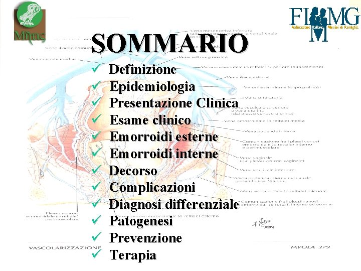 SOMMARIO ü ü ü Definizione Epidemiologia Presentazione Clinica Esame clinico Emorroidi esterne Emorroidi interne