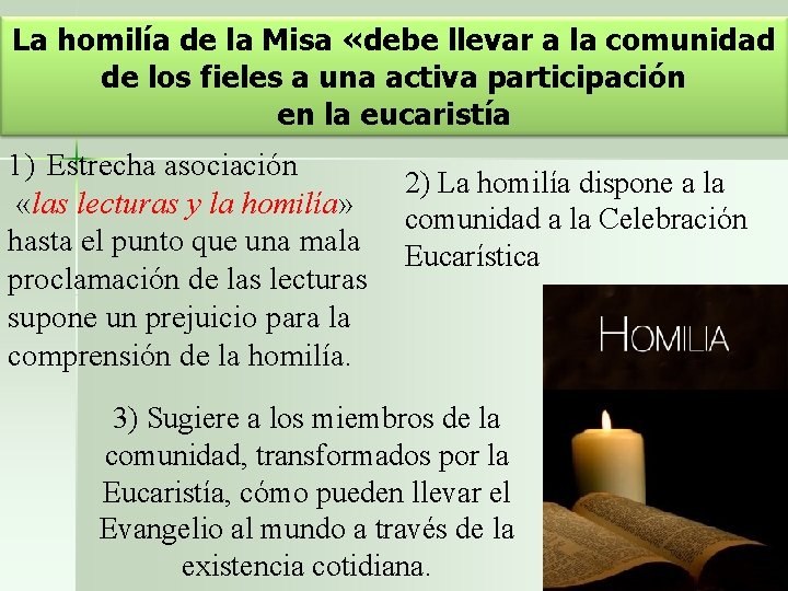 La homilía de la Misa «debe llevar a la comunidad de los fieles a