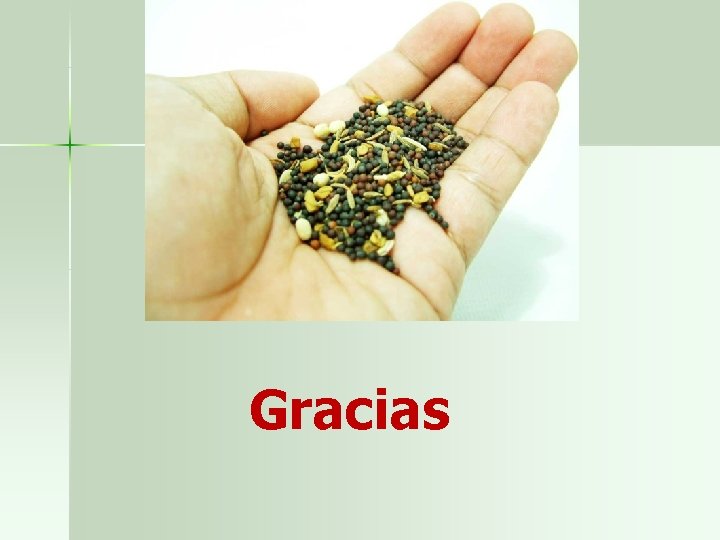 Gracias 