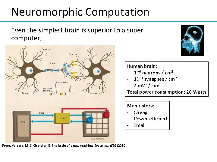 Neuromorphic Computation Even the simplest brain is superior to a super computer, the secret:
