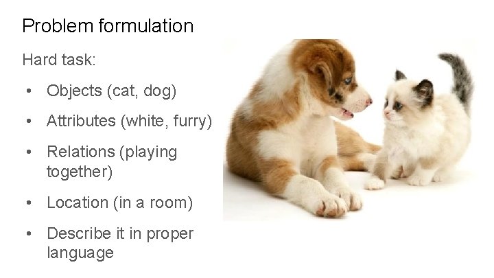 Problem formulation Hard task: • Objects (cat, dog) • Attributes (white, furry) • Relations