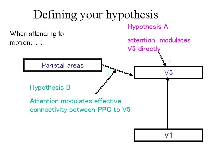 Defining your hypothesis Hypothesis A When attending to motion……. Parietal areas attention modulates V