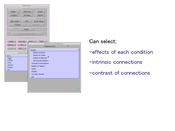 Can select: -effects of each condition -intrinsic connections -contrast of connections 
