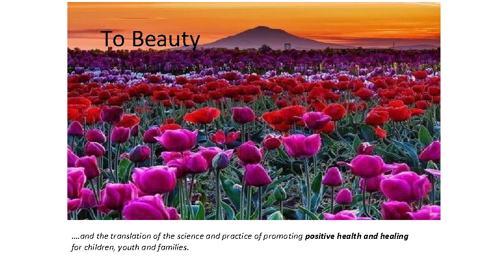 To Beauty …. and the translation of the science and practice of promoting positive