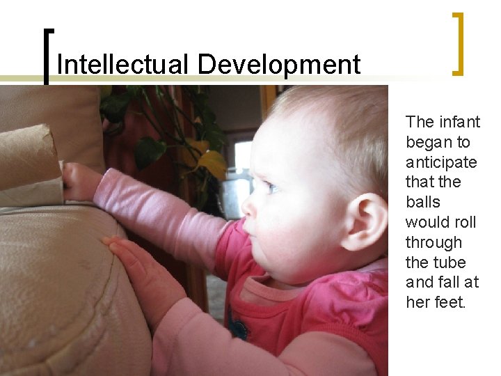 Intellectual Development The infant began to anticipate that the balls would roll through the