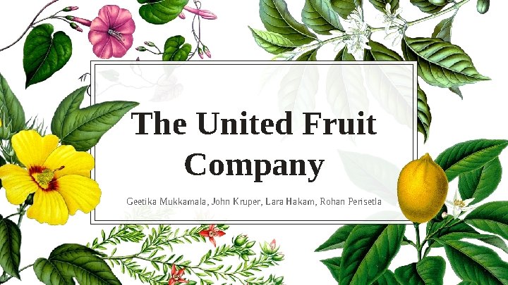 The United Fruit Company Geetika Mukkamala, John Kruper, Lara Hakam, Rohan Perisetla 