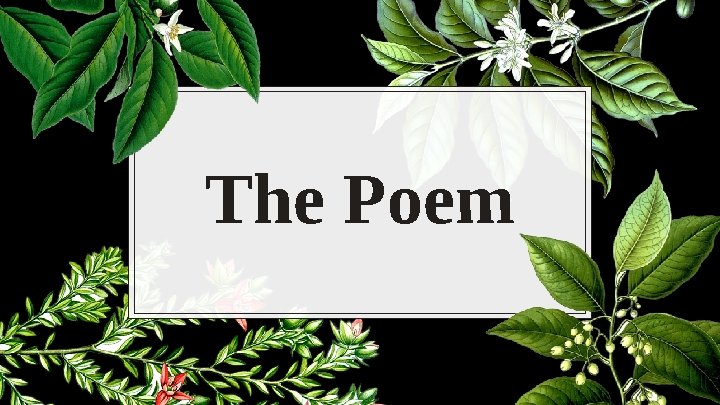 The Poem 