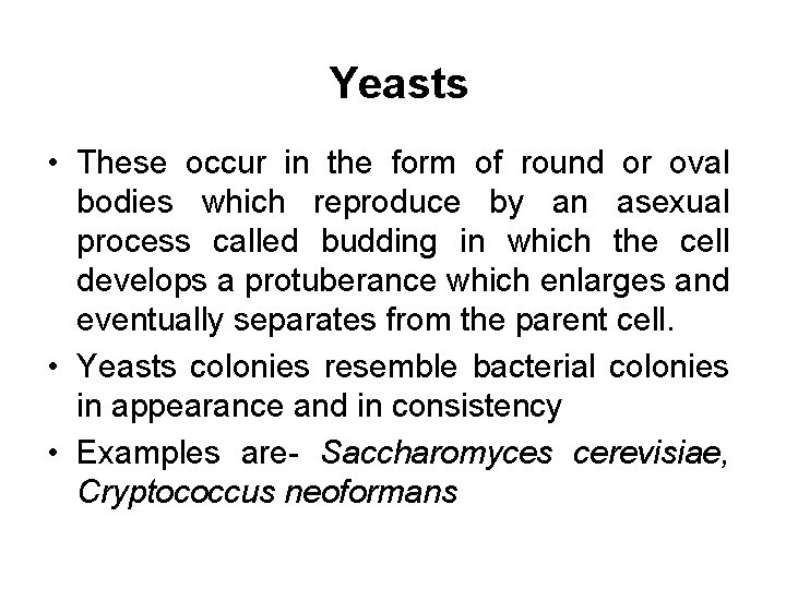 Yeasts • These occur in the form of round or oval bodies which reproduce
