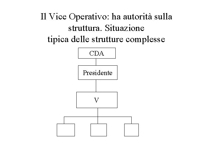 Il Vice Operativo: ha autorità sulla struttura. Situazione tipica delle strutture complesse CDA Presidente