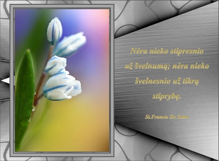 Nėra nieko stipresnio už švelnumą; nėra nieko švelnesnio už tikrą stiprybę. St. Francis De