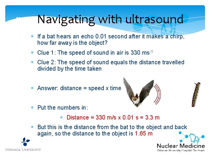 Bats: Navigating with ultrasound If a bat hears an echo 0. 01 second after