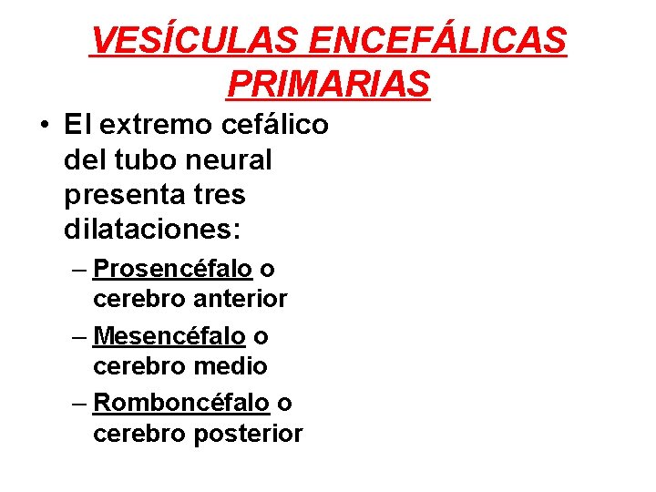 VESÍCULAS ENCEFÁLICAS PRIMARIAS • El extremo cefálico del tubo neural presenta tres dilataciones: –