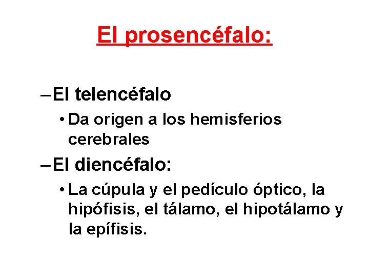 El prosencéfalo: – El telencéfalo • Da origen a los hemisferios cerebrales – El