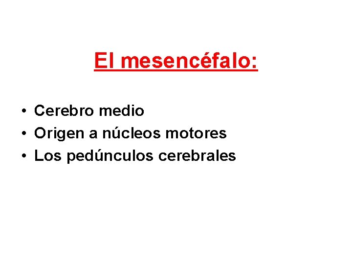 El mesencéfalo: • Cerebro medio • Origen a núcleos motores • Los pedúnculos cerebrales