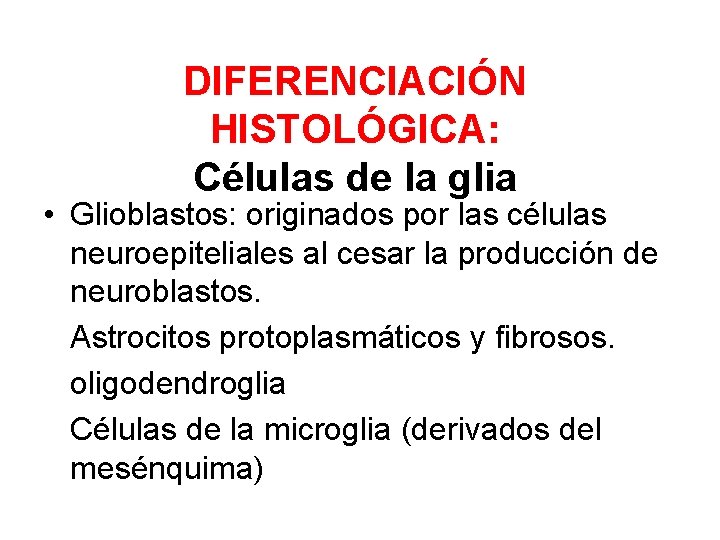 DIFERENCIACIÓN HISTOLÓGICA: Células de la glia • Glioblastos: originados por las células neuroepiteliales al