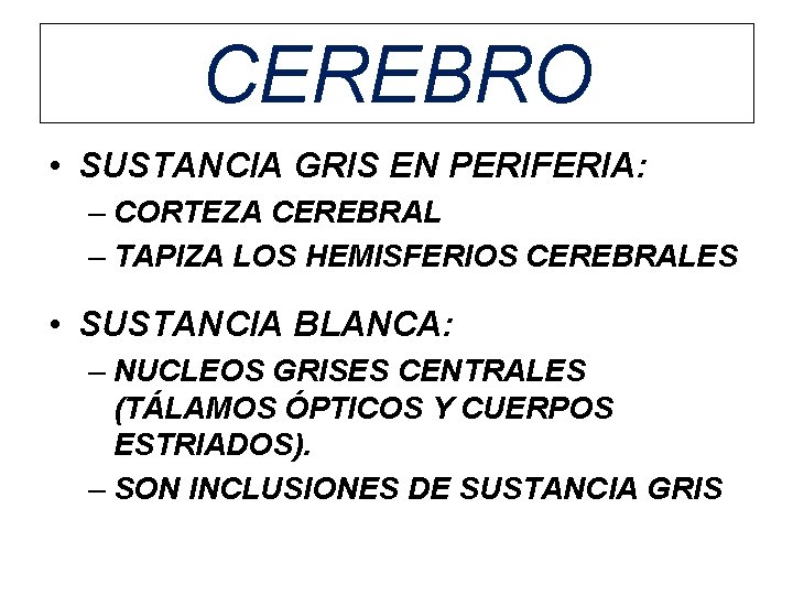 CEREBRO • SUSTANCIA GRIS EN PERIFERIA: – CORTEZA CEREBRAL – TAPIZA LOS HEMISFERIOS CEREBRALES