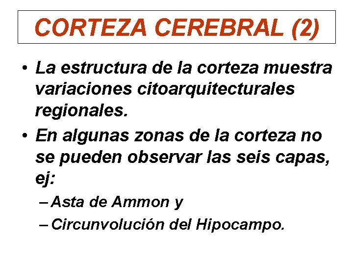 CORTEZA CEREBRAL (2) • La estructura de la corteza muestra variaciones citoarquitecturales regionales. •