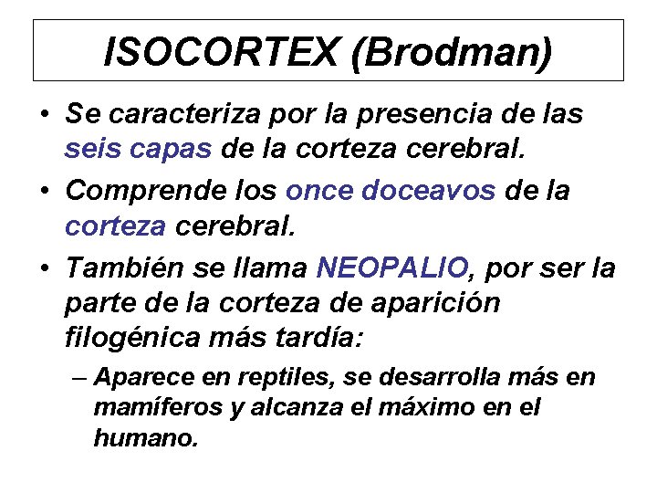 ISOCORTEX (Brodman) • Se caracteriza por la presencia de las seis capas de la