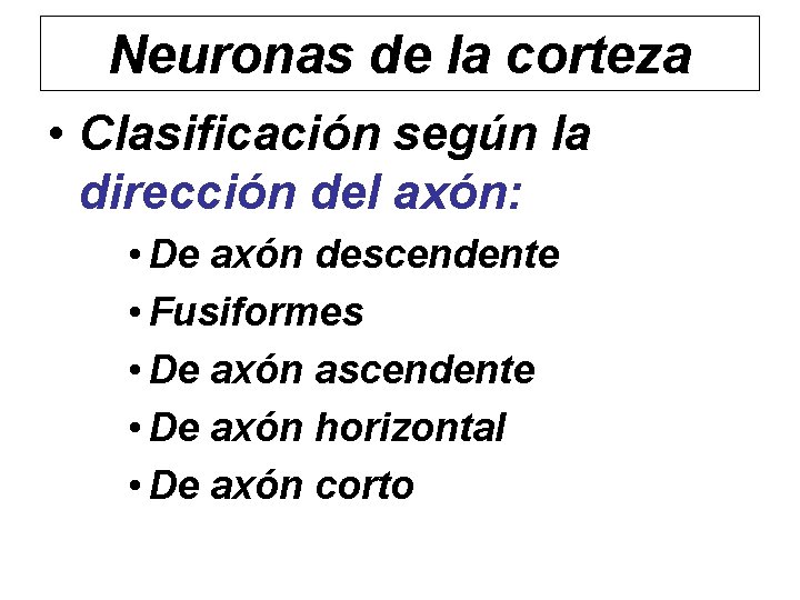 Neuronas de la corteza • Clasificación según la dirección del axón: • De axón