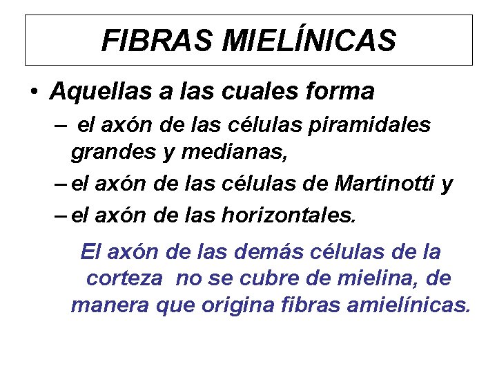FIBRAS MIELÍNICAS • Aquellas a las cuales forma – el axón de las células