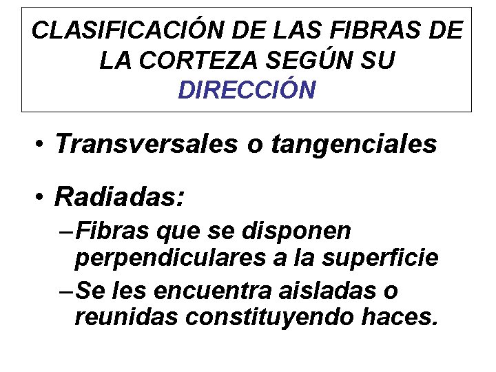 CLASIFICACIÓN DE LAS FIBRAS DE LA CORTEZA SEGÚN SU DIRECCIÓN • Transversales o tangenciales