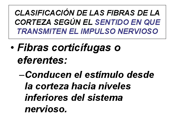 CLASIFICACIÓN DE LAS FIBRAS DE LA CORTEZA SEGÚN EL SENTIDO EN QUE TRANSMITEN EL