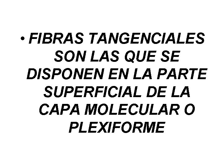  • FIBRAS TANGENCIALES SON LAS QUE SE DISPONEN EN LA PARTE SUPERFICIAL DE