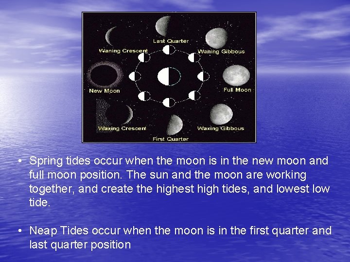  • Spring tides occur when the moon is in the new moon and