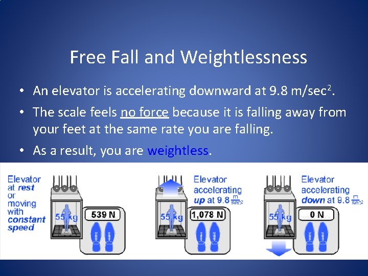 Free Fall and Weightlessness • An elevator is accelerating downward at 9. 8 m/sec