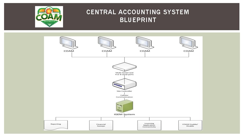 CENTRAL ACCOUNTING SYSTEM BLUEPRINT 