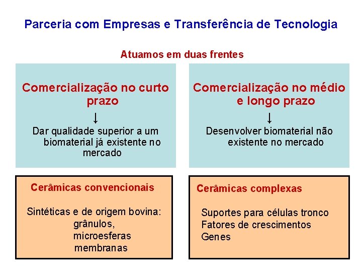 Parceria com Empresas e Transferência de Tecnologia Atuamos em duas frentes Comercialização no curto