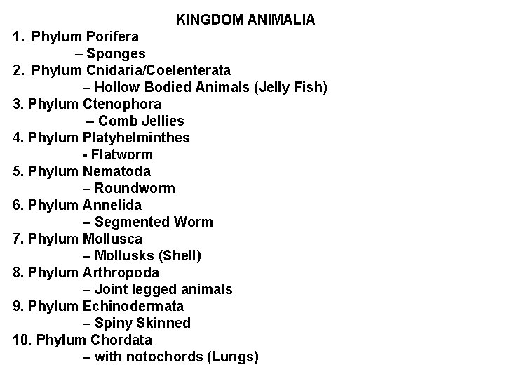 KINGDOM ANIMALIA 1. Phylum Porifera – Sponges 2. Phylum Cnidaria/Coelenterata – Hollow Bodied Animals