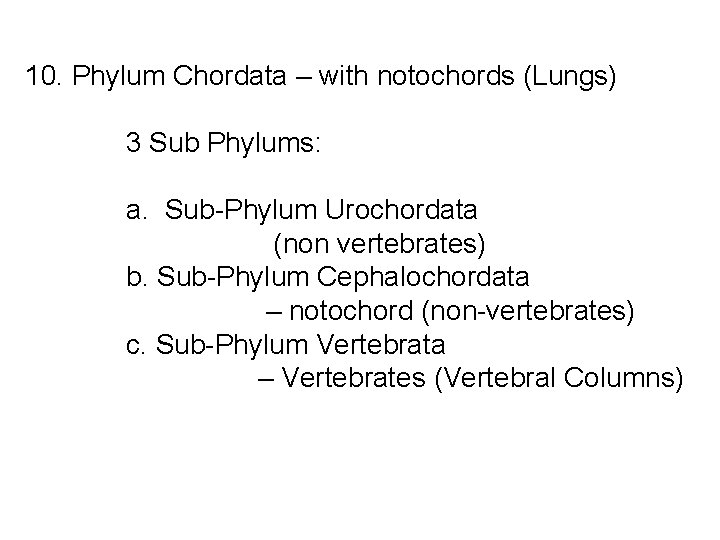 10. Phylum Chordata – with notochords (Lungs) 3 Sub Phylums: a. Sub-Phylum Urochordata (non