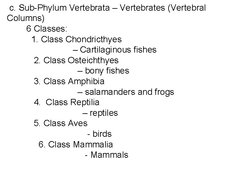  c. Sub-Phylum Vertebrata – Vertebrates (Vertebral Columns) 6 Classes: 1. Class Chondricthyes –