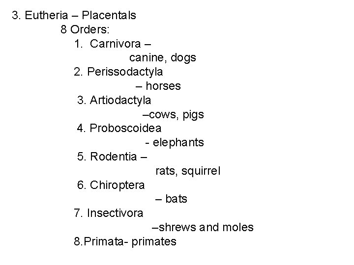  3. Eutheria – Placentals 8 Orders: 1. Carnivora – canine, dogs 2. Perissodactyla